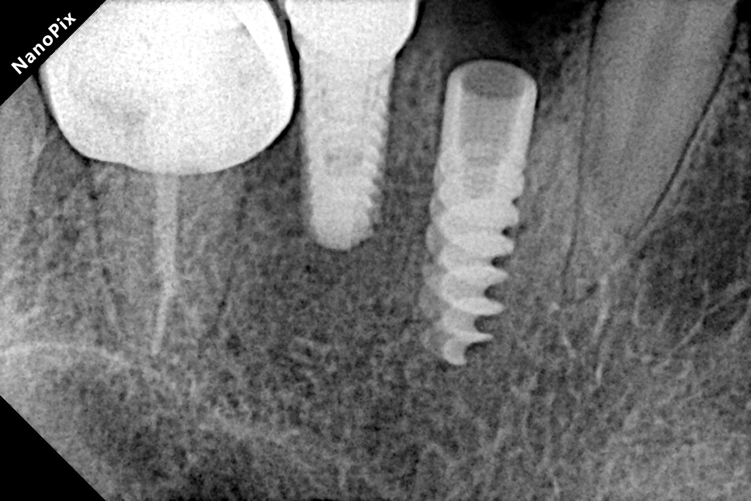 Dentality Oral Care Clinic